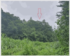  2025Ÿ��50849  �����