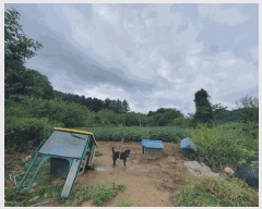  2025Ÿ��50849  �����