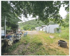  2025Ÿ��50849  �����