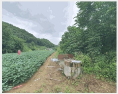  2025Ÿ��50849  �����