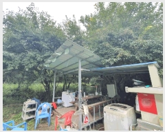  2025Ÿ��50849  �����