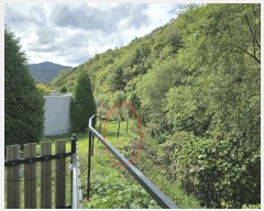  2025Ÿ��50867  ���ڽü����