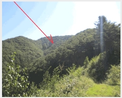  2025Ÿ��50887 ���� ȫõ�� ���� ������� ��19      ����(�Ӿ�)���