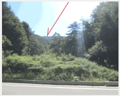  2025Ÿ��50887 ���� ȫõ�� ���� ������� ��19      ����(�Ӿ�)���