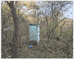  2025Ÿ��50903 ���� ȫõ�� ���� �� 99      ����(��1)���