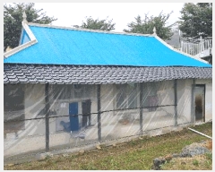  2025Ÿ��50907  �����