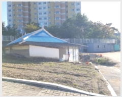  2025Ÿ��50907  �����