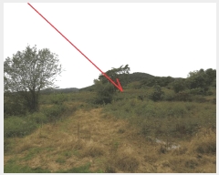  2025Ÿ��50927 ���� ȫõ�� ȫõ�� �͵��� 257-2      ����(��1)���