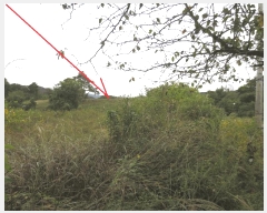  2025Ÿ��50927 ���� ȫõ�� ȫõ�� �͵��� 257-2      ����(��1)���