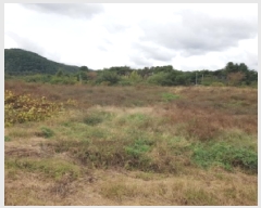  2025Ÿ��50927 ���� ȫõ�� ȫõ�� �͵��� 257-2      ����(��1)���