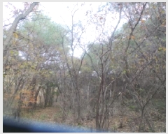  2025Ÿ��50939 ���� �籸�� �������߾Ӹ� �����۸� 251      ����(��1)���