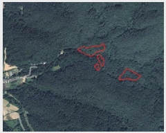  2025Ÿ��50939 ���� �籸�� �������߾Ӹ� �����۸� 251      ����(��1)���