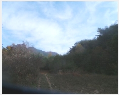  2025Ÿ��50939 ���� �籸�� �������߾Ӹ� �����۸� 251      ����(��1)���