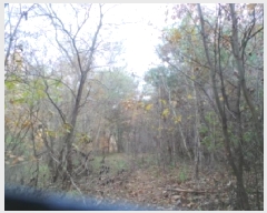  2025Ÿ��50939 ���� �籸�� �������߾Ӹ� �����۸� 251      ����(��1)���