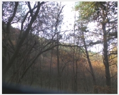  2025Ÿ��50939 ���� �籸�� �������߾Ӹ� �����۸� 251      ����(��1)���