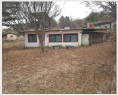  2025Ÿ��50963 ���� ȫõ�� ���� �� 547-1      ����(��1)���