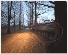  2025Ÿ��50963 ���� ȫõ�� ���� �� 681      ����(��1)���