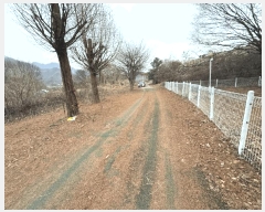  2025Ÿ��50963 ���� ȫõ�� ���� �� 681      ����(��1)���