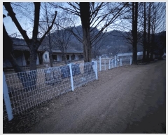  2025Ÿ��50963 ���� ȫõ�� ���� �� 681      ����(��1)���