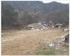  2025Ÿ��50963 ���� ȫõ�� ���� �� 681      ����(��1)���