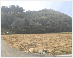  2025Ÿ��50975 ���� ȫõ�� ȫõ�� �Ͽ��ȸ� 267-1      ����(��1)���