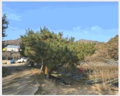  2025Ÿ��50988 ���� ȭõ�� ������ ���۸� 263-3      ����(��1)���