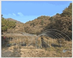  2025Ÿ��50988 ���� ȭõ�� ������ ���۸� 263-3      ����(��1)���