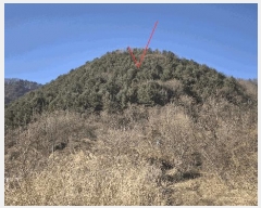  2025Ÿ��51017 ���� ȭõ�� �󼭸� ���̸� ��56      ����(�Ӿ�)���