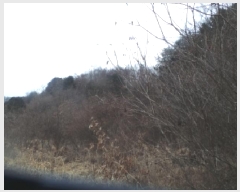  2025Ÿ��51017 ���� ȭõ�� �󼭸� ���̸� ��56      ����(�Ӿ�)���