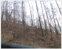  2025Ÿ��51017 ���� ȭõ�� �󼭸� ���̸� ��56      ����(�Ӿ�)���