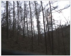  2025Ÿ��51017 ���� ȭõ�� �󼭸� ���̸� ��56      ����(�Ӿ�)���