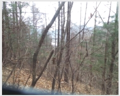  2025Ÿ��51017 ���� ȭõ�� �󼭸� ���̸� ��56      ����(�Ӿ�)���