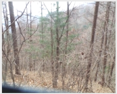  2025Ÿ��51017 ���� ȭõ�� �󼭸� ���̸� ��56      ����(�Ӿ�)���