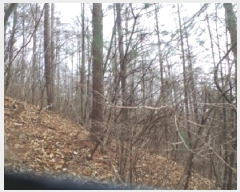  2025Ÿ��51017 ���� ȭõ�� �󼭸� ���̸� ��56      ����(�Ӿ�)���