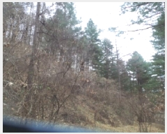  2025Ÿ��51017 ���� ȭõ�� �󼭸� ���̸� ��56      ����(�Ӿ�)���