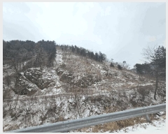  2025Ÿ��51063 ���� ȫõ�� ���� ������ ��106      ����(�Ӿ�)���