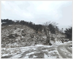  2025Ÿ��51063 ���� ȫõ�� ���� ������ ��106      ����(�Ӿ�)���