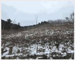  2025Ÿ��51063 ���� ȫõ�� ���� ������ ��106      ����(�Ӿ�)���