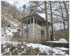  2025Ÿ��51063 ���� ȫõ�� ���� ������ ��106      ����(�Ӿ�)���