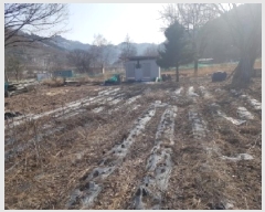  2025Ÿ57   󳲸 󳲸 1543      (1)