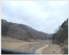  2025Ÿ262  ȭõ ϳ õ 38      (Ӿ)