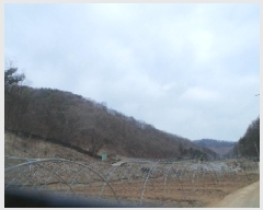  2025Ÿ262  ȭõ ϳ õ 38      (Ӿ)