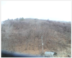  2025Ÿ262  ȭõ ϳ õ 38      (Ӿ)