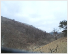  2025Ÿ262  ȭõ ϳ õ 38      (Ӿ)