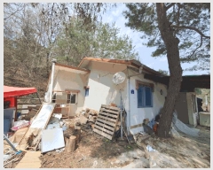  2025Ÿ330  ȫõ ȫõ ︶ġ 956-5      ð