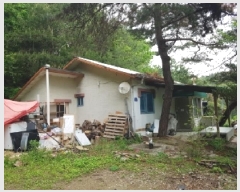  2025Ÿ330  ȫõ ȫõ ︶ġ 956-5      ð