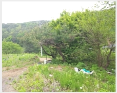  2025Ÿ330  õ   106      (Ӿ)