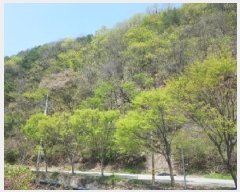  2025Ÿ330  õ   106      (Ӿ)