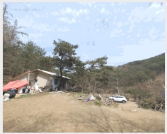  2025Ÿ330  ȫõ ȫõ ︶ġ 956-5      ð