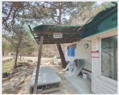  2025Ÿ330  ȫõ ȫõ ︶ġ 956-5      ð